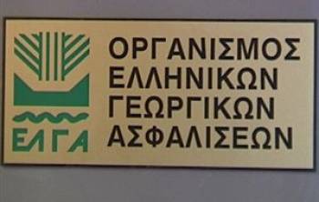 Διαμαρτυρία κτηνοτρόφων της Πελοποννήσου στον ΕΛΓΑ Τρίπολης για τον καταρροϊκό