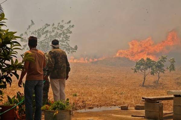 Αυξημένος κίνδυνος για πυρκαγιά αύριο στη Λακωνία