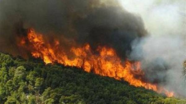 Κέρκυρα: Σε εξέλιξη πυρκαγιά στα νοτιοδυτικά του νησιού