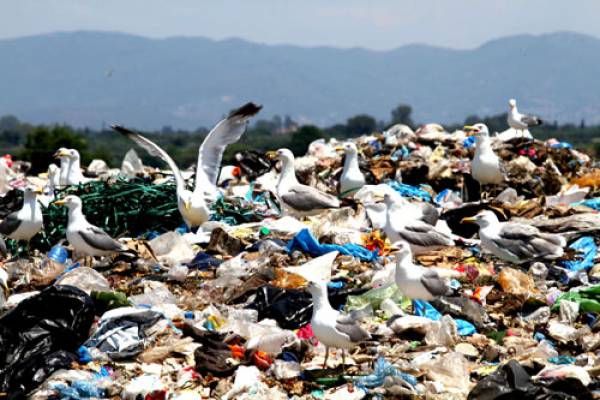 Περιφέρεια Πελοποννήσου κατά κυβέρνησης και δημάρχων για τα σκουπίδια