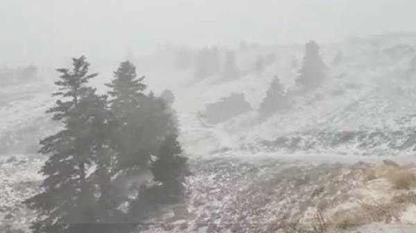 Ισχυρή χιονοθύελλα στον Παρνασσό (Βίντεο)