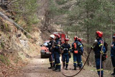 Βελτιωμένη η εικόνα της φωτιάς στα Πιέρια όρη (βίντεο)