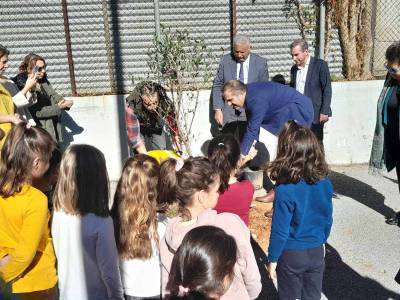 Φύτευσαν ελιές σε προαύλια σχολείων της Καλαμάτας (βίντεο)