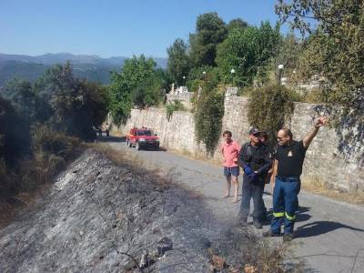 Φωτιά στην Καλίτσαινα του Δήμου Τριφυλίας