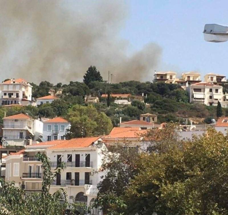 Μεσσηνία: 25 στρέμματα έκαψε η πυρκαγιά στην Πύλο