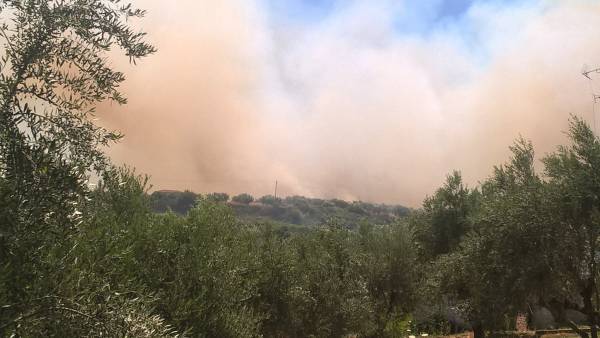 Μέγαλη πυρκαγιά στην Κορώνη - Φόβοι, ότι πλησιάζει σε σπίτια! (φωτογραφίες)