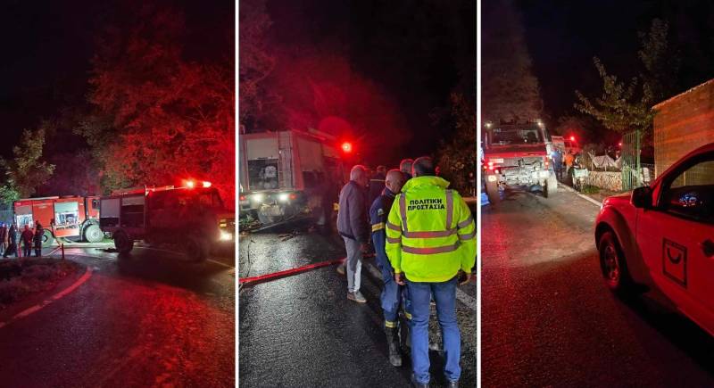 Δημιουργία ζωνών προστασίας από δασικές πυρκαγιές - Άμεση επέμβαση στη Νέδουσα