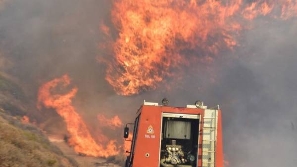 Πυρκαγιά στη Νέα Μάκρη - Δεν κινδυνεύει κατοικημένη περιοχή