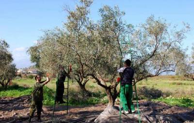 Απάντηση Παναγιωτόπουλου σε Λαμπρόπουλο για εργάτες γης