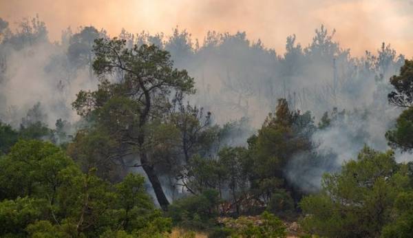 Φωτιά στο Δάσος Δαδιάς: Εξαπλώθηκε το νοτιοδυτικό μέτωπο (βίντεο)