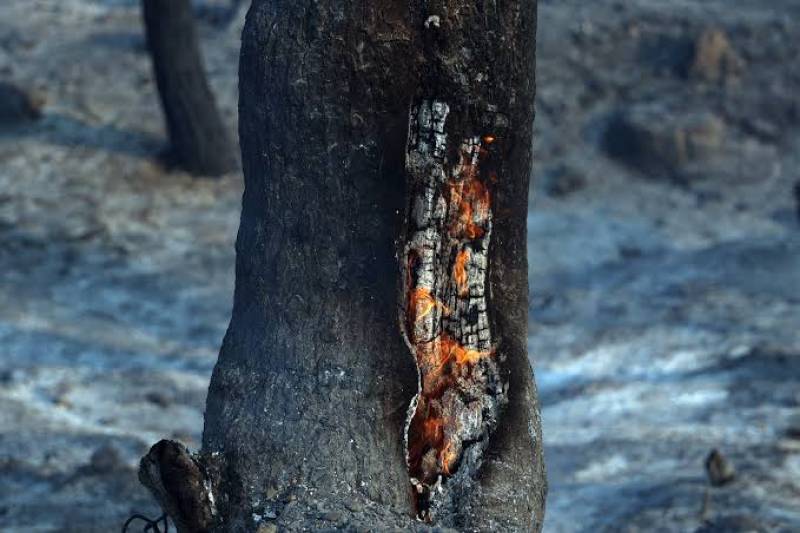 Σύλληψη 59χρονου για διαδοχικούς εμπρησμούς στη Σίνδο (βίντεο)