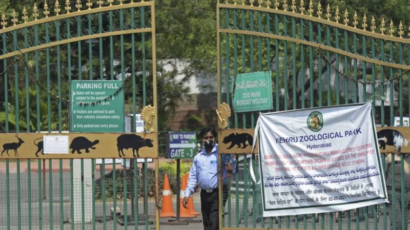 Ινδία: Θετικά στον κορονοϊό οκτώ λιοντάρια σε ζωολογικό κήπο