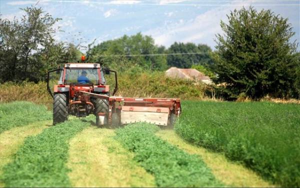 Σέρρες: Νεκροί δύο αγρότες που καταπλακώθηκαν από τα τρακτέρ τους