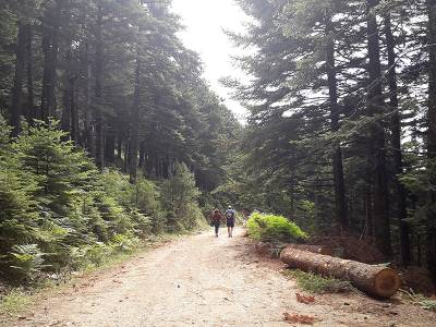 Ενημέρωση για ΟΧΕ Ταϋγέτου ζητεί ο Γόντικας