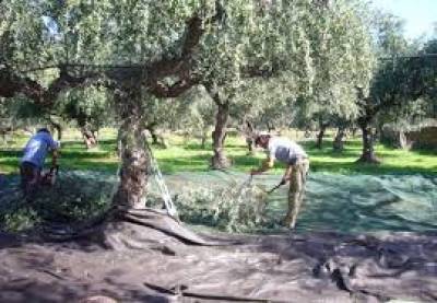 Τα σπουδαία  προσεχώς