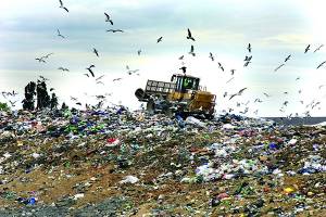 Τραστ και Μεγαλόπολη σενάριο για σκουπίδια