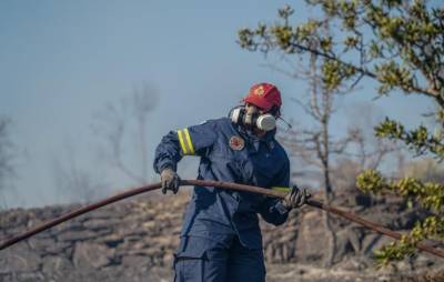 Φωτιά στη Μεγαλόπολη κοντά στο ορυχείο της ΔΕΗ – Ήχησε το 112