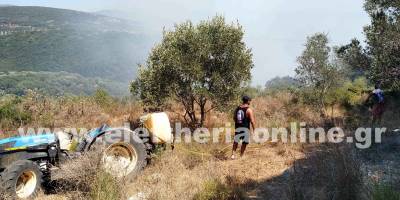 Πυρκαγιά σε δύσβατη περιοχή στο Γλυκορρίζι Μεσσηνίας (βίντεο-φωτογραφίες)