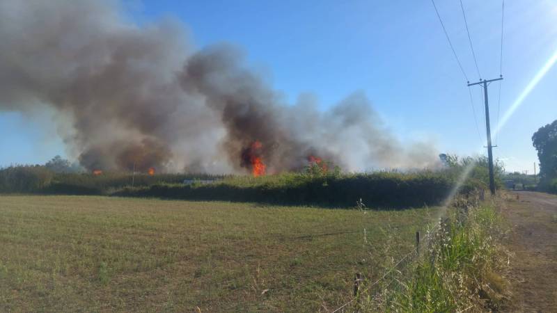 Μεγάλη πυρκαγιά απέναντι από το αεροδρόμιο Καλαμάτας (βίντεο)