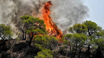 Μαίνεται η πυρκαγιά στη Ρόδο - Χωρίς ενιαίο ενεργό μέτωπο οι φωτιές σε Δυτ. Αττική και Λουτράκι