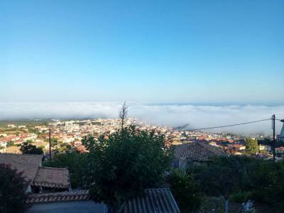 Πυκνή ομίχλη σκέπασε την Τριφυλία