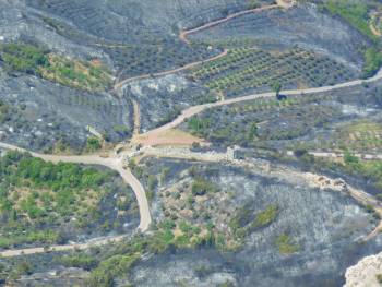 Εμπρησμό στην Ιθώμη βλέπει η Πυροσβεστική