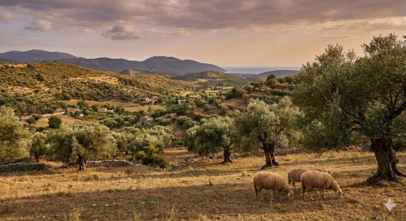 Η Μεσσηνία μπροστά σε ένα νέο αγροτικό ρίσκο