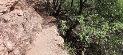 Χρειάζεται συντήρηση το μονοπάτι στη Νέδα