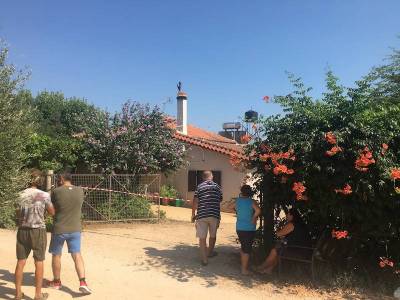 Μεσσηνία: Εξιχνιάστηκε η δολοφονία της 57χρονης στα Φιλιατρά - 34χρονος Πακιστανός ο δράστης