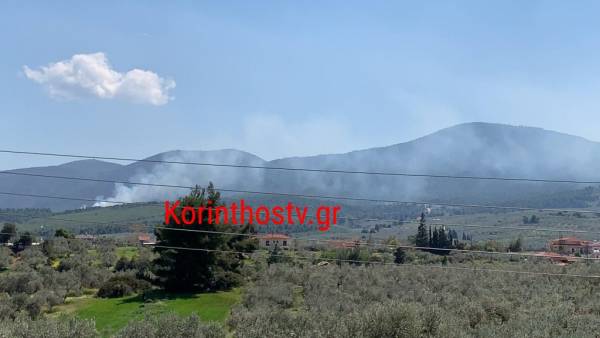 Κορινθία: Πυρκαγιά στο Χιλιομόδι