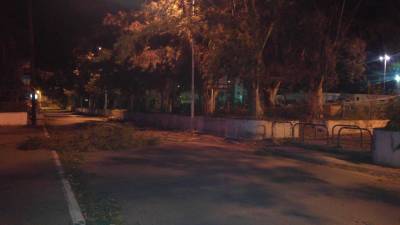 Καλαμάτα: Εκλεισε η Λακωνικής από πτώση δένδρων λόγω του δυνατού αέρα