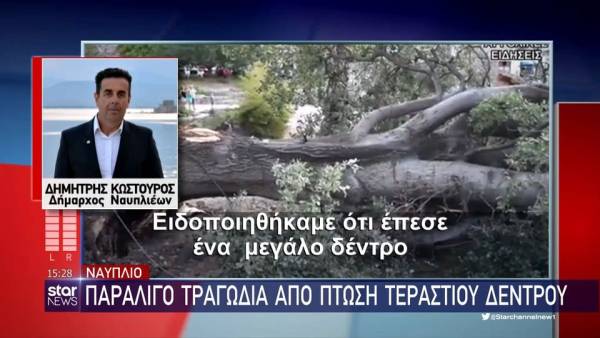 Ναύπλιο: Παραλίγο τραγωδία από πτώση τεράστιου δέντρου (βίντεο)