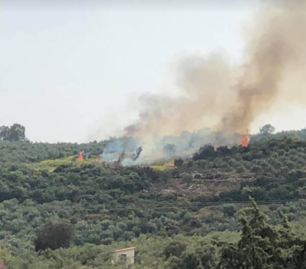 Διόδια Μεσσηνίας: Φωτιά σε αγροτική έκταση του χωριού