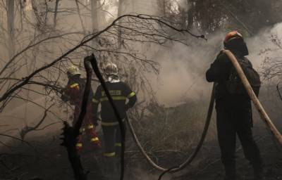 Σε εξέλιξη η φωτιά στην Κορυφή Ηλείας - Δεν απειλείται ο οικισμός