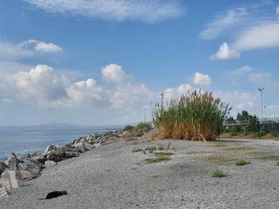 Κάτοικοι προς τον δήμαρχο Καλαμάτας: Απαιτούν παρεμβάσεις για αξιοποίηση της Δυτ. Παραλίας