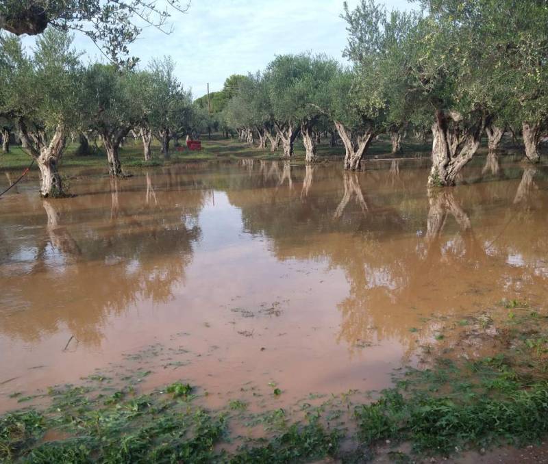 ΚΚΕ για πλημμυρισμένα χωράφια στους Γαργαλιάνους