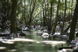 Ανακαλύπτοντας την περιαστική Καλαμάτα...