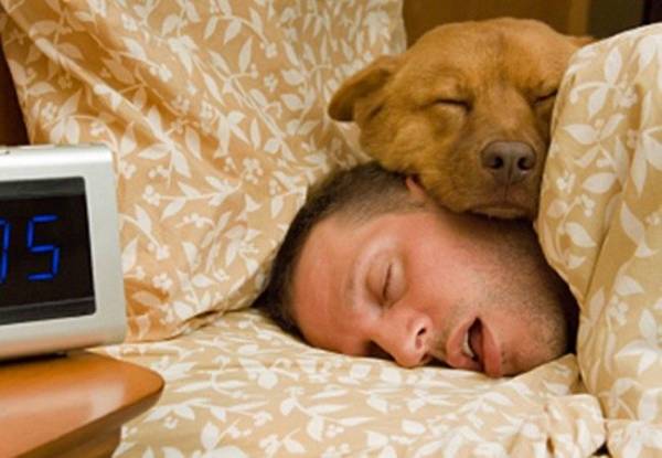 Υπνος: Όσοι κοιμούνται με τον σκύλο τους έχουν καλύτερη υγεία