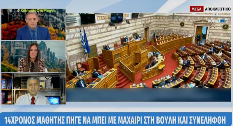 Βουλή: 14χρονος μαθητής πήγε να μπει με μαχαίρι και συνελήφθη (βίντεο)