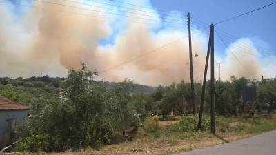 Υπό μερικό έλεγχο η φωτιά στην Κορώνη: Εχει κάψει 30 στρέμματα (βίντεο)