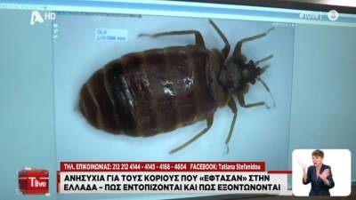 Ανησυχία για τους κοριούς - Πώς εντοπίζονται και πώς εξοντώνονται (Βίντεο)