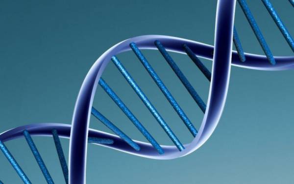 Η ανάλυση του DNA της μεσαιωνικής μούμιας ενός παιδιού αποκάλυψε ότι είχε ηπατίτιδα Β