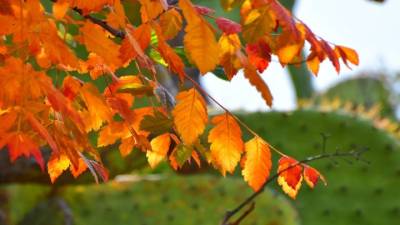 Αίθριος γενικά ο καιρός την Κυριακή - Πού αναμένονται τοπικές βροχές