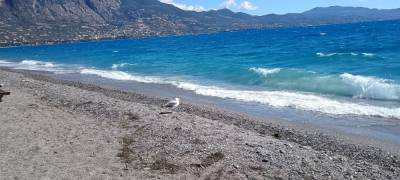 Αναπλάσεις ή επενδύσεις;