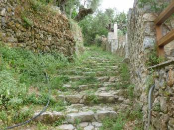 Οι &quot;Φίλοι της Βέργας&quot; ενημέρωσαν αιρετούς για τα καλντερίμια (βίντεο και φωτογραφίες)