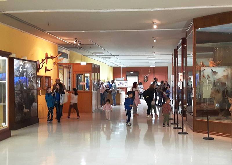 Ανοίγει τις πόρτες του το Μουσείο Ζωολογίας του ΕΚΠΑ
