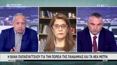 Παπαευαγγέλλου: Γιατί η πλατφόρμα για την τρίτη δόση θα ανοίξει στους 5,5 μήνες (Βίντεο)