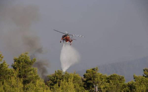 Φωτιά στα Καλάβρυτα - Επιχειρούν επίγειες και εναέριες δυνάμεις