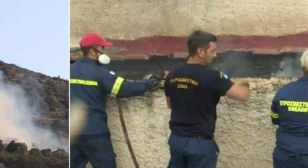 Ανθρώπινο τοίχος να μην περάσουν οι φλόγες στην Πάρνηθα - Οροθετήθηκε η φωτιά στο Καπαρέλλι