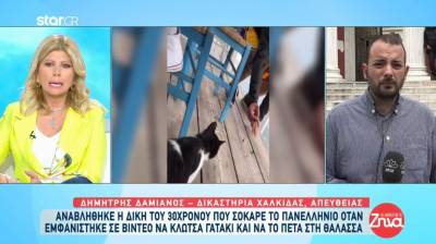 Αναβλήθηκε η δίκη του 30χρονου που κλώτσησε το γατάκι στην Αιδηψό (Βίντεο)